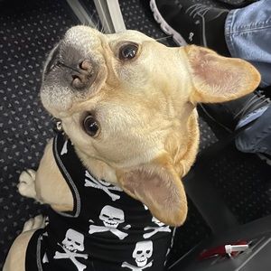 Meet your Posher, Mary